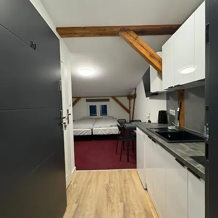 Stary Mlyn Apartament *