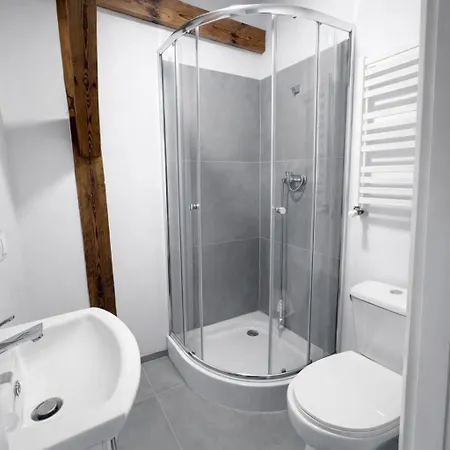 Apartment Stary Mlyn *