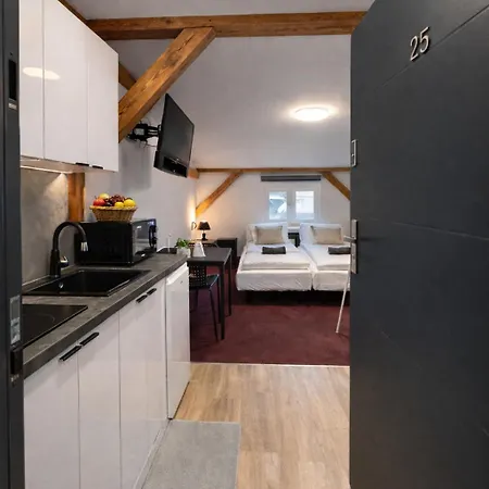 Stary Mlyn Apartment *