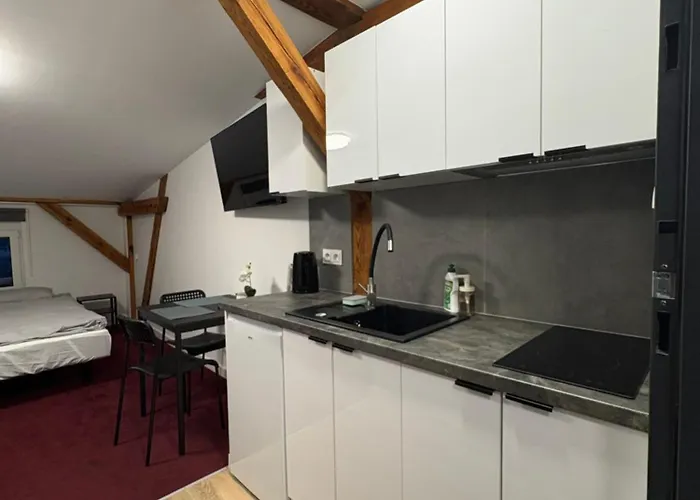 Apartment Stary Mlyn