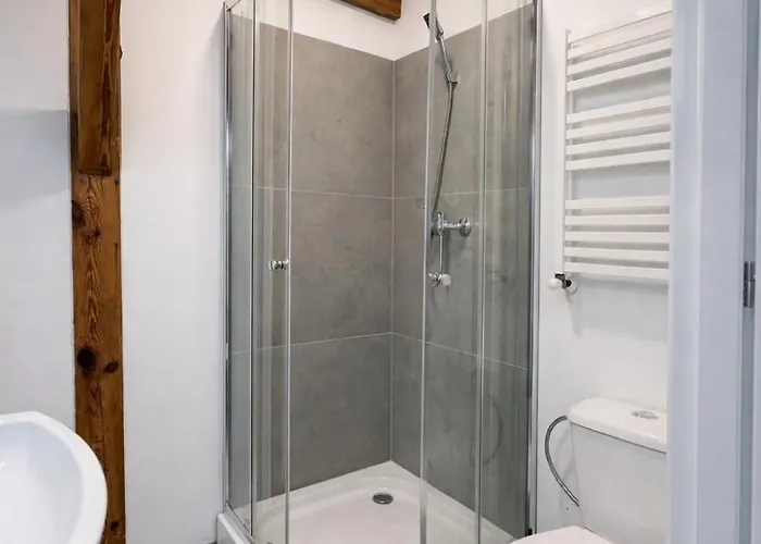 Stary Mlyn Apartment *