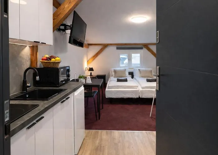 Stary Mlyn Apartment *